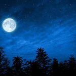 Full Moon Meditation & Group Healing with Luna Rock Wellness & Healing, Cheltenham